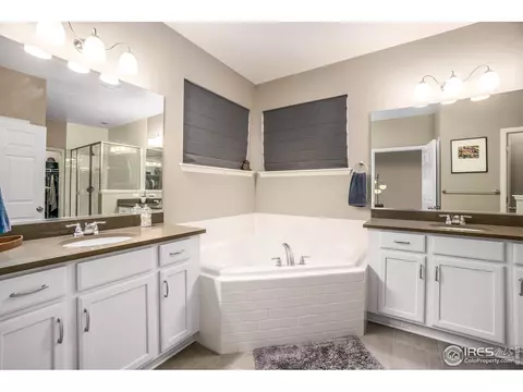 6056 Moran Rd, Timnath, CO 80547 photo 8