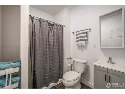 6056 Moran Rd, Timnath, CO 80547 photo 13