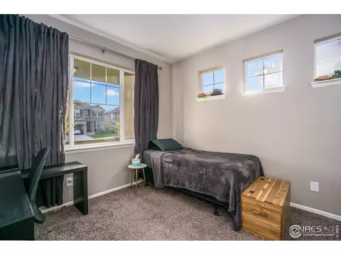 6056 Moran Rd, Timnath, CO 80547 photo 10