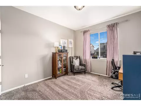 6056 Moran Rd, Timnath, CO 80547 photo 15