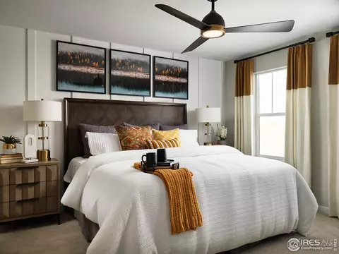 4489 Barrow Ln, Timnath, CO 80547 photo 7