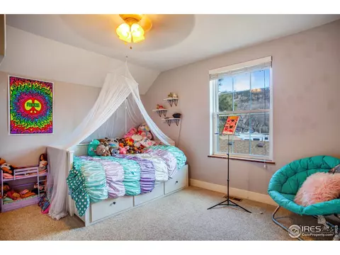 323 Stickney Ave, Lyons, CO 80540 photo 26
