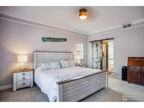 323 Stickney Ave, Lyons, CO 80540 photo 20