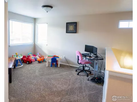 267 Castle Dr, Severance, CO 80550 photo 18