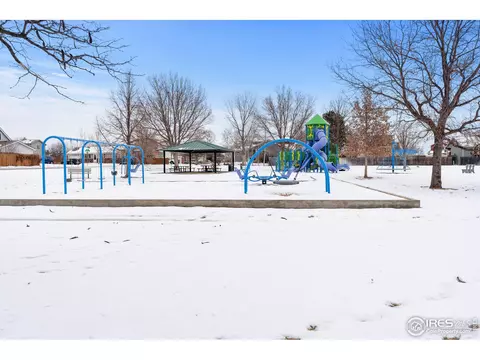 917 Nantucket St, Windsor, CO 80550 photo 29