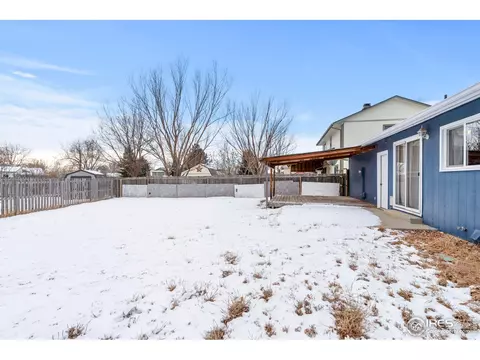 917 Nantucket St, Windsor, CO 80550 photo 28