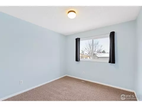 917 Nantucket St, Windsor, CO 80550 photo 13