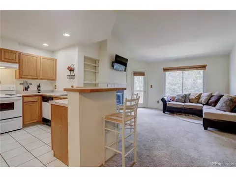 4216 S Eldridge St #202, Morrison, CO 80465 photo 12