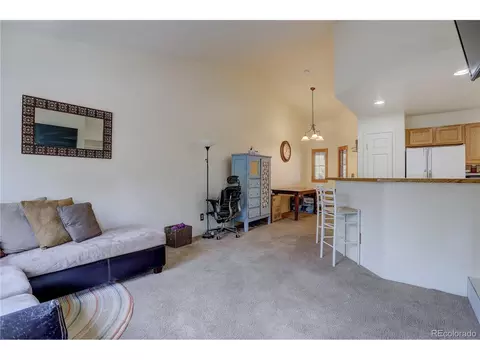 4216 S Eldridge St #202, Morrison, CO 80465 photo 9