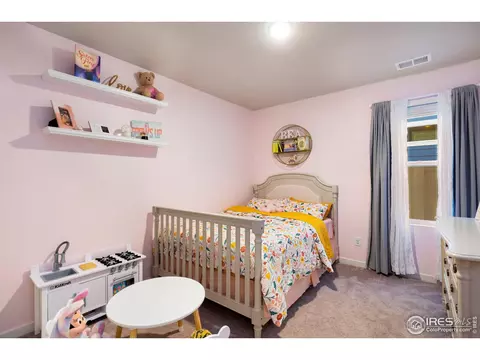 351 Bozeman Trl, Ault, CO 80610 photo 16