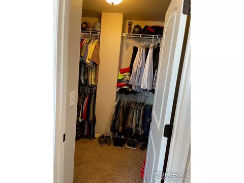 208 Castle Dr, Severance, CO 80550 photo 21