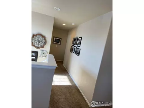208 Castle Dr, Severance, CO 80550 photo 28