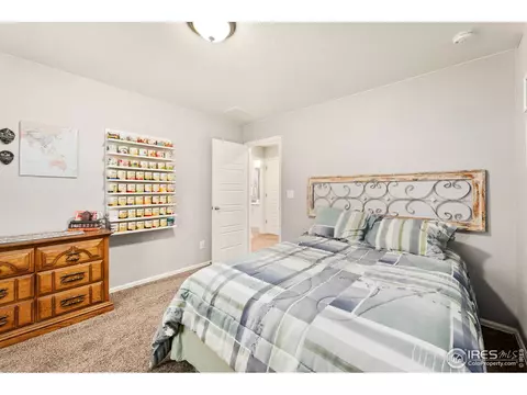 2248 Stonefish Dr, Windsor, CO 80550 photo 22