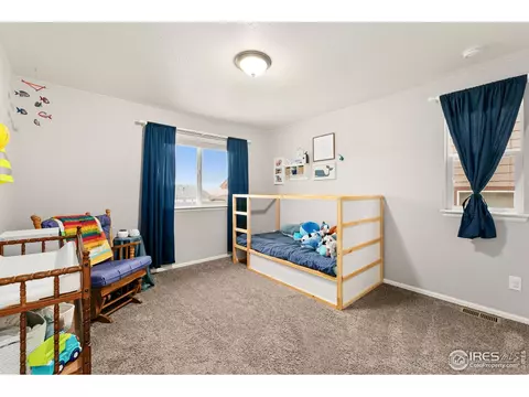 2248 Stonefish Dr, Windsor, CO 80550 photo 23