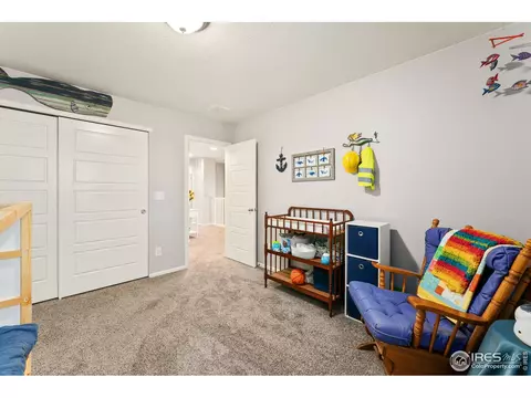 2248 Stonefish Dr, Windsor, CO 80550 photo 24
