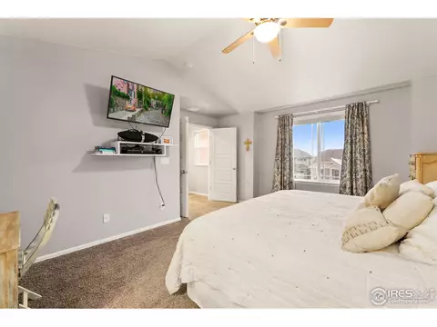 2248 Stonefish Dr, Windsor, CO 80550 photo 31