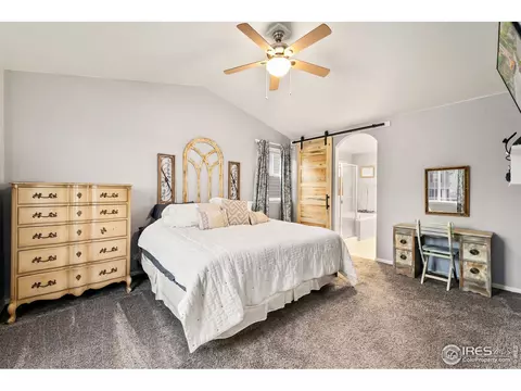 2248 Stonefish Dr, Windsor, CO 80550 photo 29