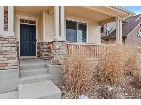 2248 Stonefish Dr, Windsor, CO 80550 photo 2