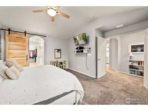 2248 Stonefish Dr, Windsor, CO 80550 photo 30