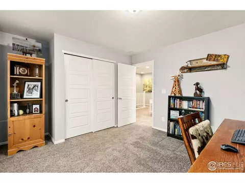 2248 Stonefish Dr, Windsor, CO 80550 photo 28