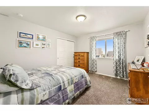 2248 Stonefish Dr, Windsor, CO 80550 photo 21