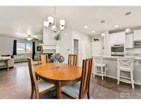 2248 Stonefish Dr, Windsor, CO 80550 photo 11