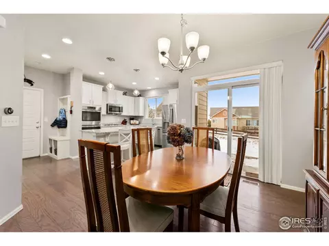 2248 Stonefish Dr, Windsor, CO 80550 photo 10
