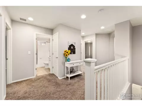2248 Stonefish Dr, Windsor, CO 80550 photo 20