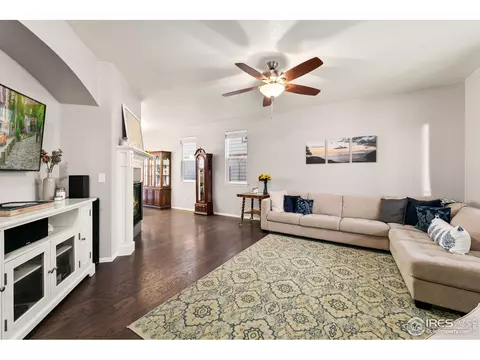 2248 Stonefish Dr, Windsor, CO 80550 photo 7