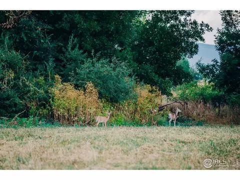 5163 Independence Rd, Boulder, CO 80301 photo 34
