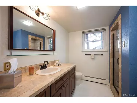 6919 S Steele St, Centennial, CO 80122 photo 20