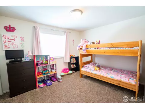 338 Torreys Dr, Severance, CO 80550 photo 22