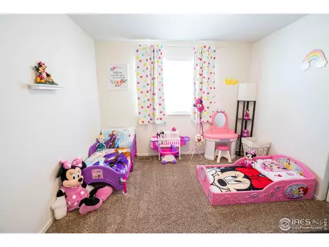 338 Torreys Dr, Severance, CO 80550 photo 29