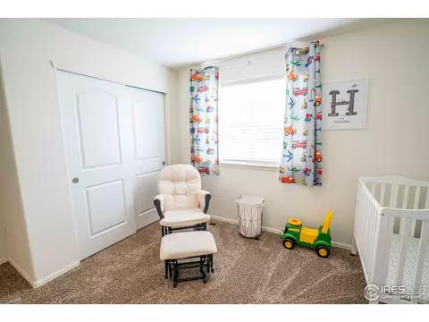 338 Torreys Dr, Severance, CO 80550 photo 31