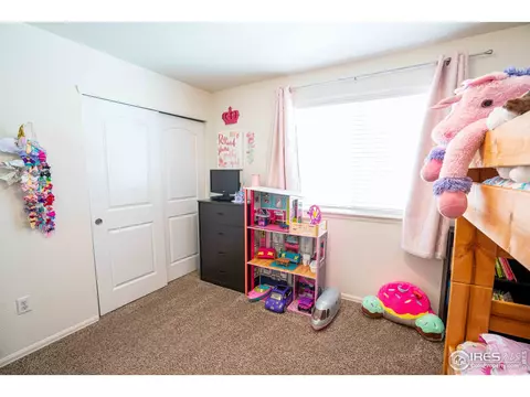 338 Torreys Dr, Severance, CO 80550 photo 28