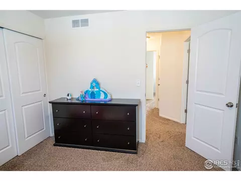 338 Torreys Dr, Severance, CO 80550 photo 27