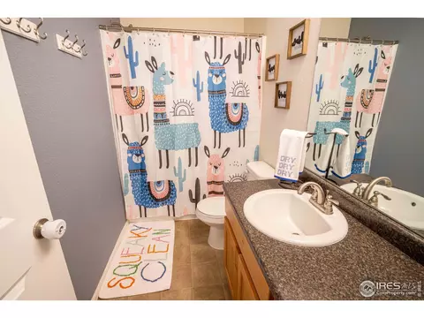 338 Torreys Dr, Severance, CO 80550 photo 23