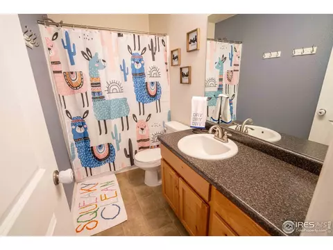 338 Torreys Dr, Severance, CO 80550 photo 24