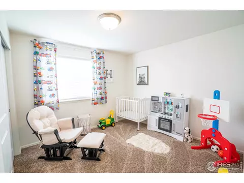 338 Torreys Dr, Severance, CO 80550 photo 30