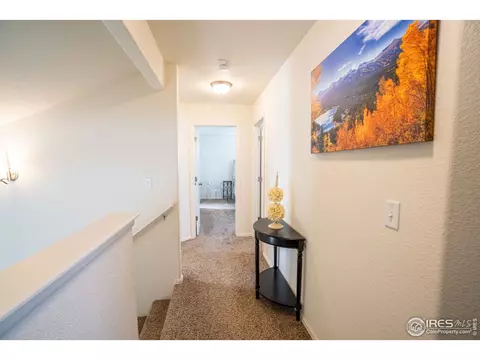 338 Torreys Dr, Severance, CO 80550 photo 26