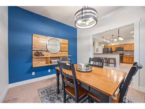 590 Moonglow Dr, Windsor, CO 80550 photo 13