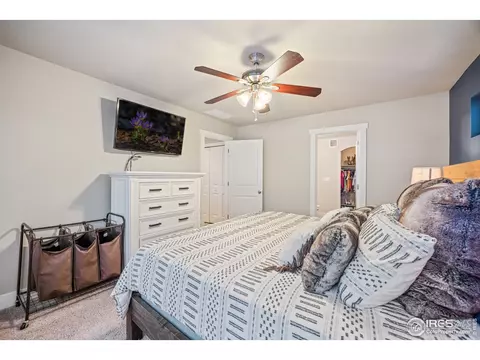 590 Moonglow Dr, Windsor, CO 80550 photo 18