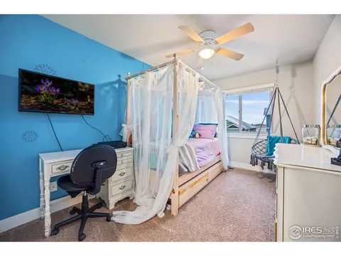 590 Moonglow Dr, Windsor, CO 80550 photo 22