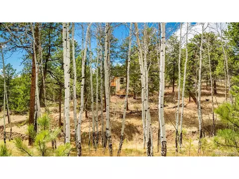 Exterior - 11744 S Stallion Dr, Pine, CO 80470 photo 9 of 9