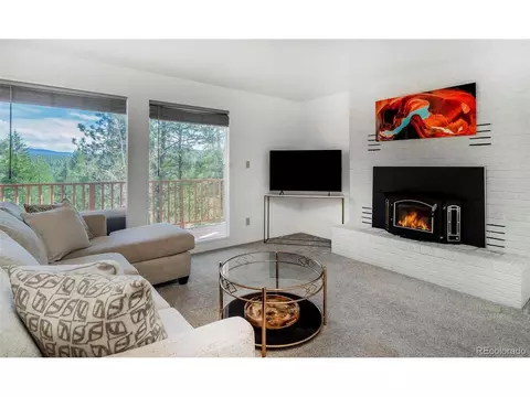 Living - 11744 S Stallion Dr, Pine, CO 80470 photo 1 of 3