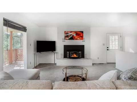 Other - 11744 S Stallion Dr, Pine, CO 80470 photo 4 of 13