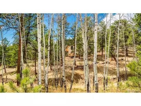 Exterior - 11744 S Stallion Dr, Pine, CO 80470 photo 10 of 10