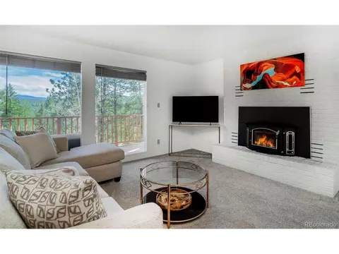 Living - 11744 S Stallion Dr, Pine, CO 80470 photo 1 of 3