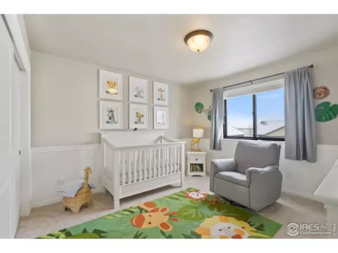 158 Veronica Dr, Windsor, CO 80550 photo 23