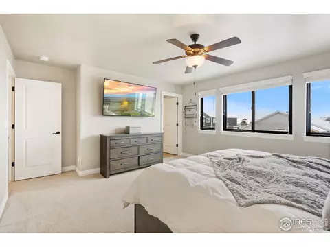158 Veronica Dr, Windsor, CO 80550 photo 18
